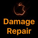 LMR-Damage-Repair-London